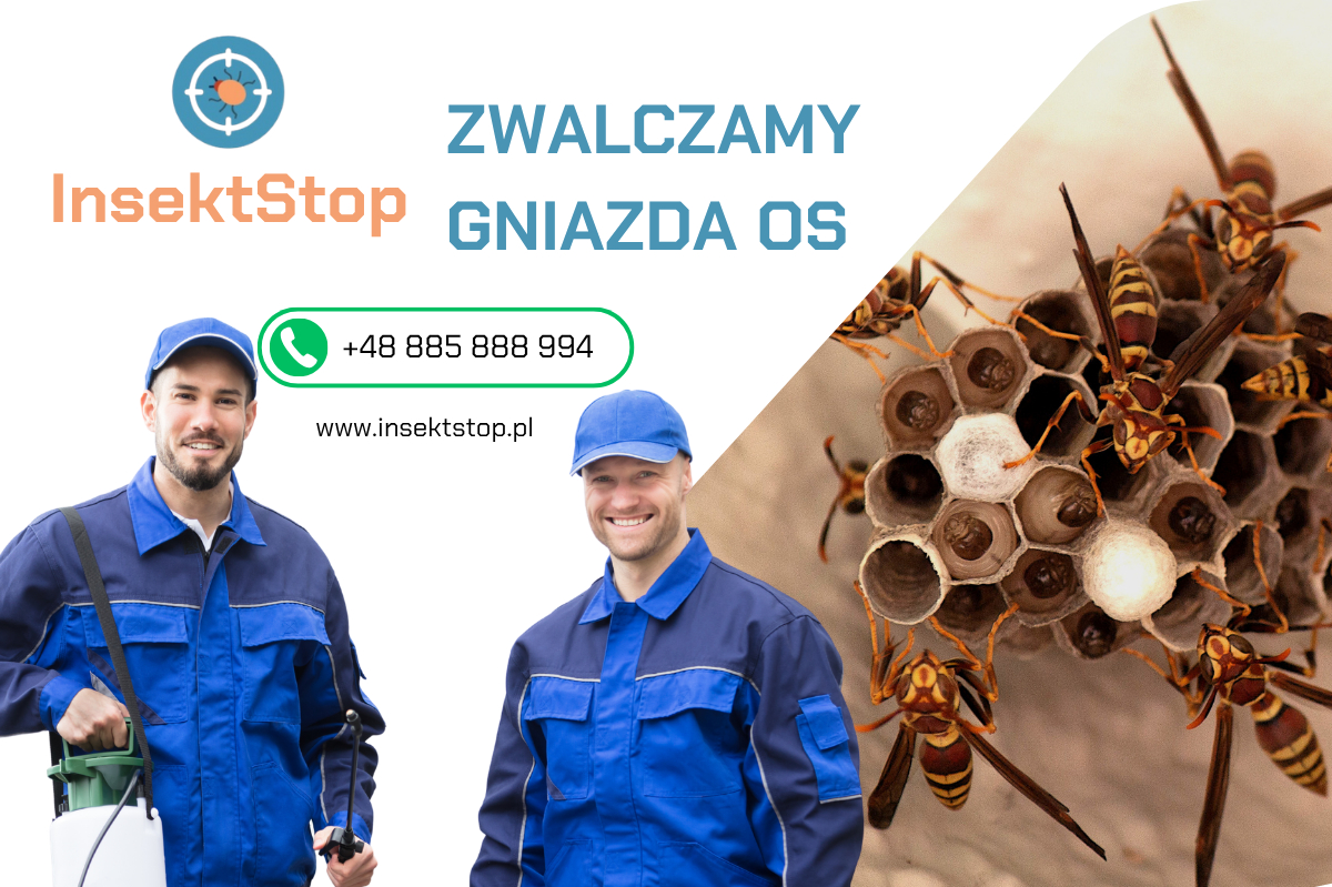 jak zwalczyć osy z ogrodu InsektStop